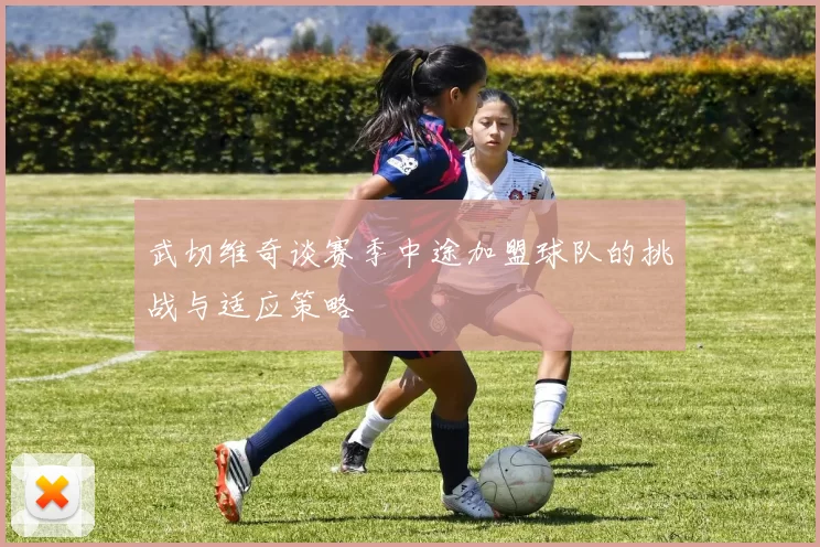 武切维奇谈赛季中途加盟球队的挑战与适应策略